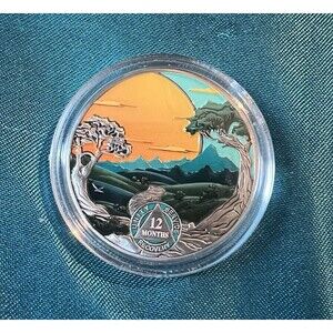 AA 12 Month Sobriety Coin Recovery Addiction NA AA Chip